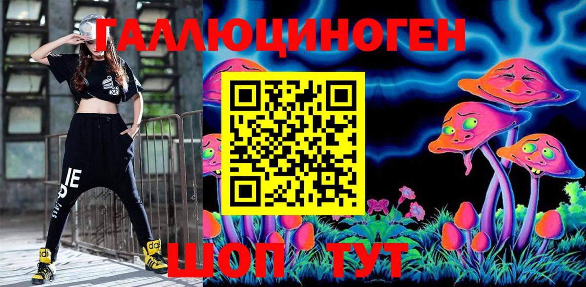Псилоцибиновые грибы Psilocybe Вышний Волочёк